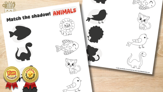 Match the animals to their shadows - Black and White